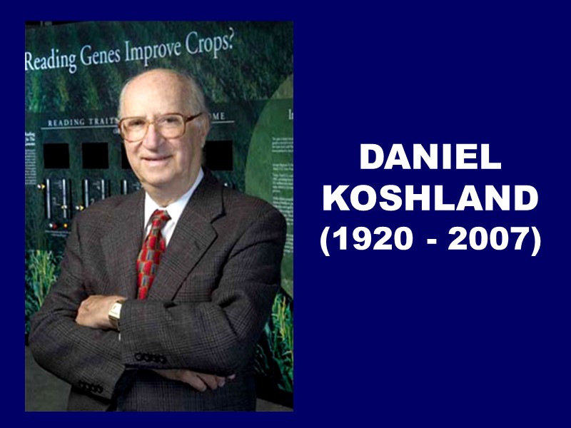 DANIEL KOSHLAND  (1920 - 2007)